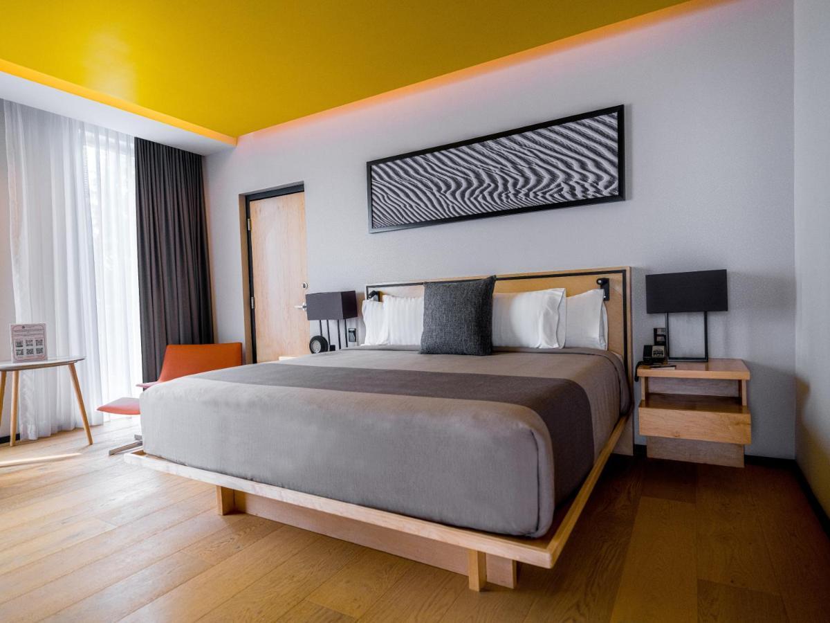 Готель Galeria Plaza San Jeronimo Мехіко Екстер'єр фото A room at the hotel