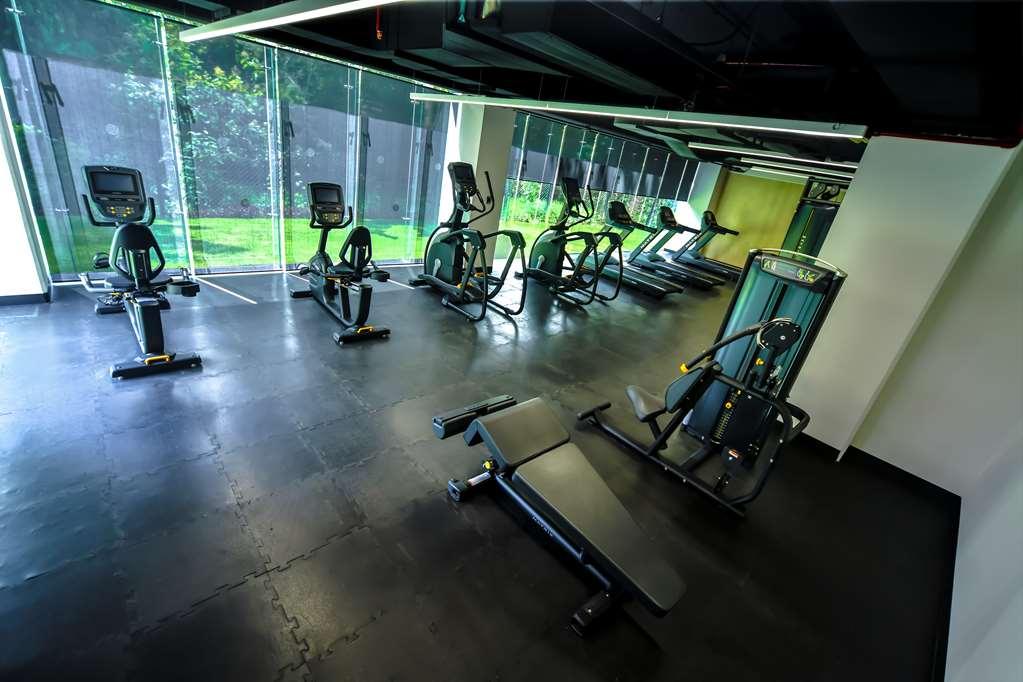 Готель Galeria Plaza San Jeronimo Мехіко Зручності фото The gym at the hotel