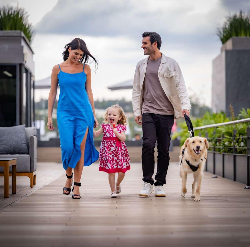 Готель Galeria Plaza San Jeronimo Мехіко Зручності фото A family with a dog