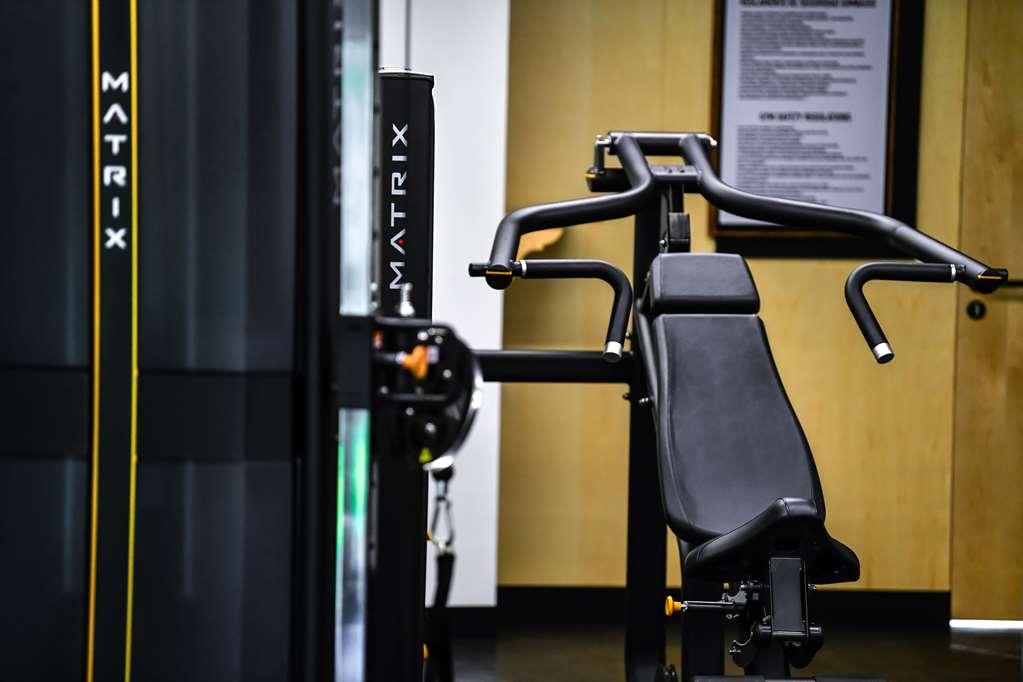 Готель Galeria Plaza San Jeronimo Мехіко Зручності фото A shoulder press machine