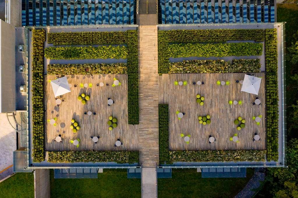 Готель Galeria Plaza San Jeronimo Мехіко Екстер'єр фото The green wall at the Allianz Arena